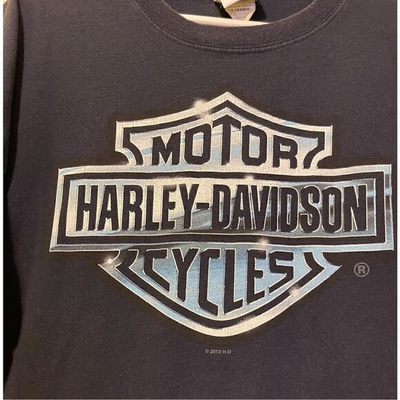 Harley Davidson Smoky Mountain Pigeon Forge,TN Tshirt - Picture 3 of 8